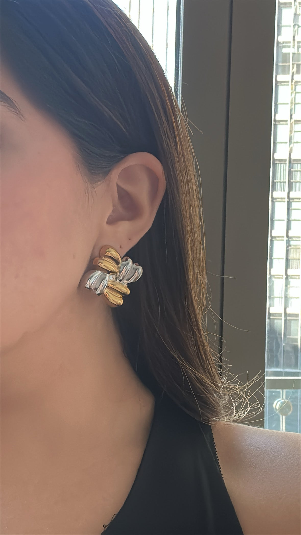 Arete Romy bicolor